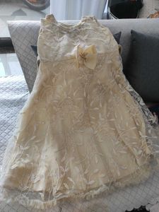 Beautiful Net Gown For Girls