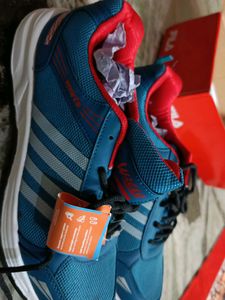 Asian Brand New Shoes With Tag