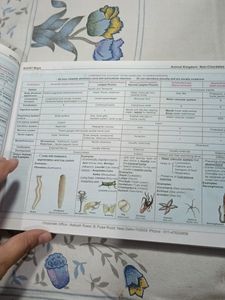 AAKASH NCERT MIND MAPS FOR NEET UG .