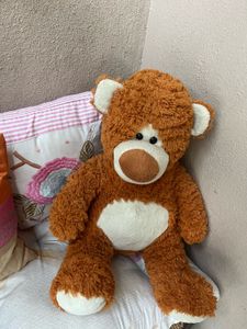 Teddy Bear Toy