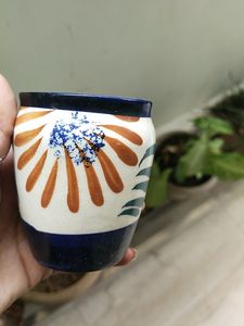 Combo Of Two Plants And Tw Small Pots