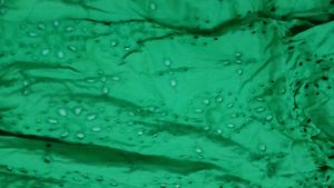 Green Sundress