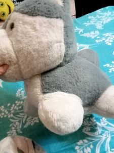 A Big Cat Soft Toy..It&#39;s Like. New ...