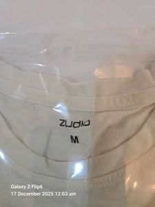 burberry,zara,zudio,polo,hugo boss shirt