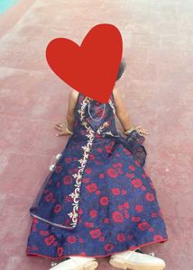 Gown With Net Shrug