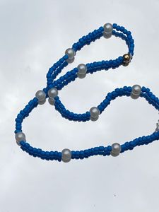 Blue Seed Beaded Necklace