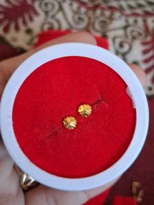 Beautiful New Desiner Studs
