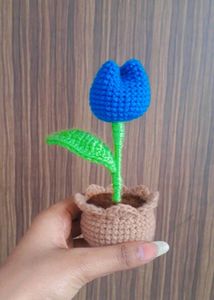 Tulip Pot