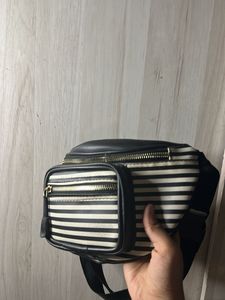 Striped Waist Bag