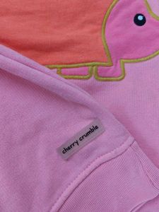 Cute Pink Hedgehog Sweatshirt