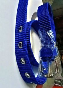 Blue Canvas Belt with Silver Buckle