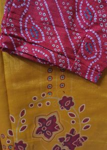 Elegant Traditional Saree