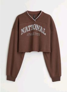 H&amp;M Brown Cropped Sweatshirt