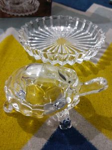 Crystal tortoise