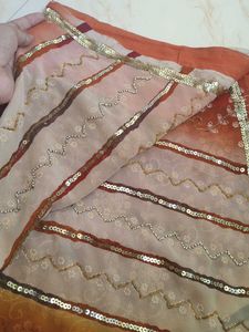 Elegant Embellished Saree