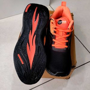 Campus Sports Shoes
