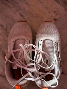 NEW CAMPUS SHOES