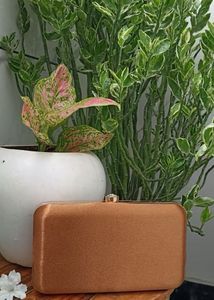 Gold Clutch