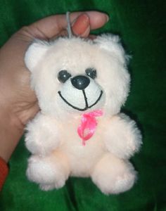 Cute Small Teddy Bear Plushie 🧸