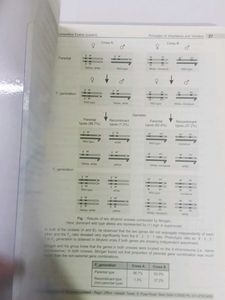Class XII Botany Study Package|Set of 4 books