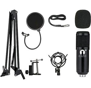 BM 800 Professional Condenser Microphone