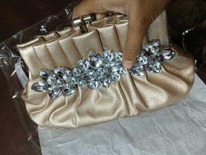 Elegant Evening Clutch