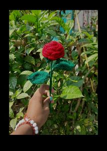 Handmade Crochet Rose