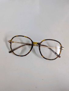 Animal Print Glasses