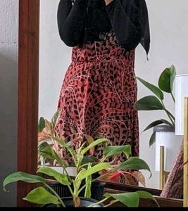 Cute Multicolour Dress