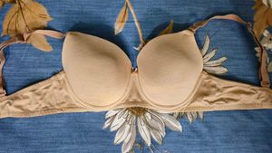 Zivame Beige Solid Underwired T-shirt Bra 🍞