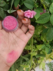 Blush &amp; Highlighter