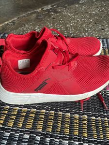 Original Branded Puma Shoes