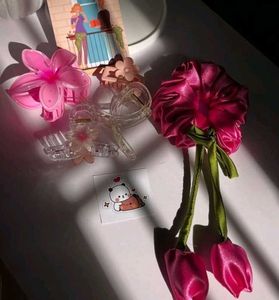 Cute Hair Clip Bundle