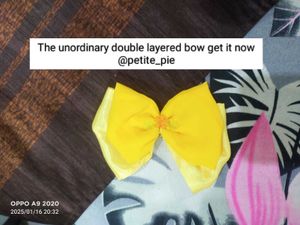 Double Layered Bow
