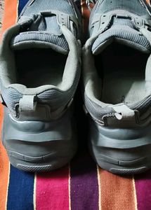 Zudio Green Sneakers