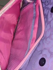 School/Picnic Bag