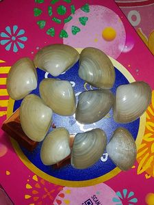 10 Original Sea Shells.....