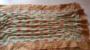 Beautiful Saree