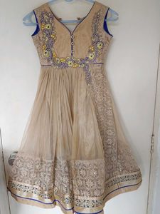 Elegant Ethnic Dress