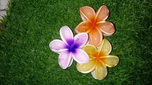 Floral Petals Hair Claws Pack Of 3
