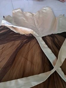Brown Dress