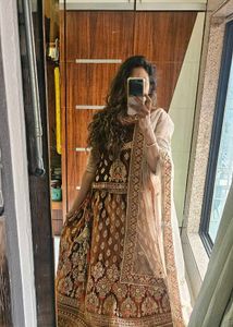 Exquisite Velvet Lehenga with Intricate Embroidery