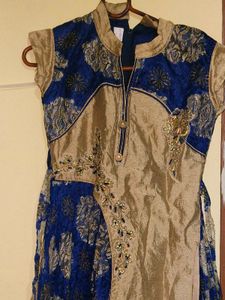 Ethnic Gowns