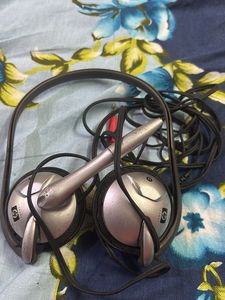 HP Computer headphones