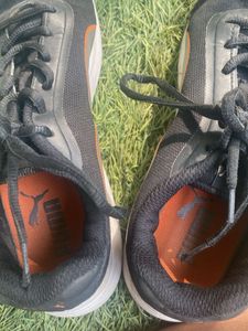 Puma sports shoes