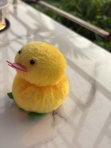 Soft Toy