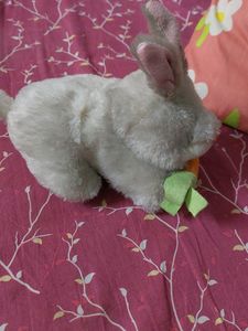 Toy
