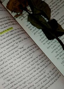 &#34;It Ends With Us&#34; by Colleen Hoover