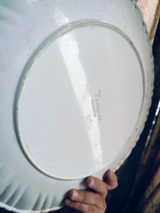 Trays Combo