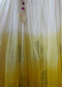 Elegant Ethnic Dress